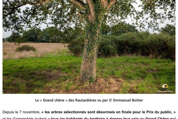concoursdelarbredelanneeF5EAC86A-2F0E-31A1-9DC8-4621EE626382.jpg