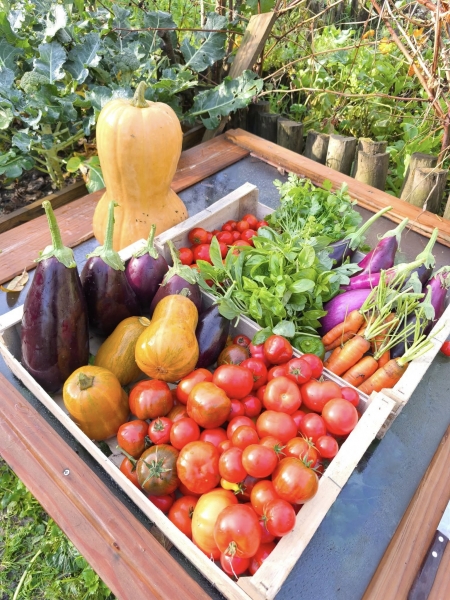panier_garnichois_image_vignette